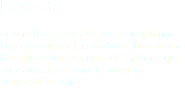 Proyecto Materializamos tus deseos, concebimos ideas creativas e innovadoras, buscamos dar soluciones, creamos los espacios que necesitas…Cada uno de nuestros proyectos es único.