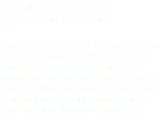 Administración y ejecución de obra Construimos todo tipo de obra civil con la debida administración de recursos; buscando siempre que las materias primas con las que trabajamos sean de primera calidad, además siempre buscar el mejor precio, empleando siempre mano de obra altamente calificada.